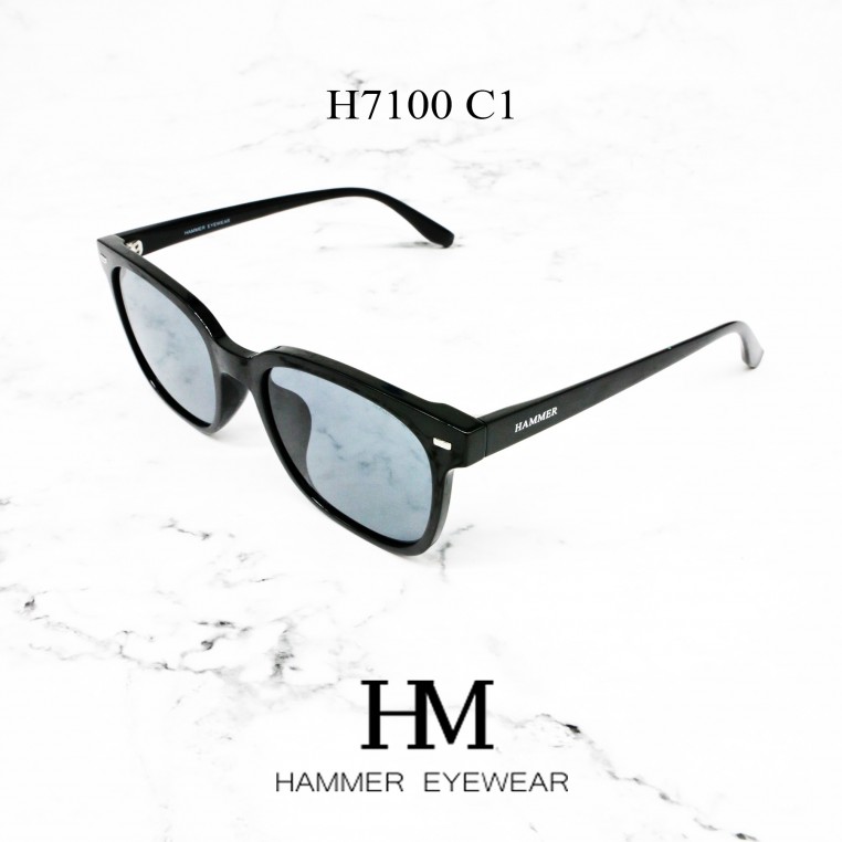 HAMMER 7100 