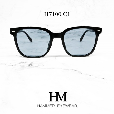 HAMMER 7100 