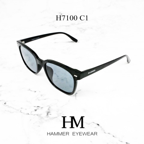 HAMMER 7100 